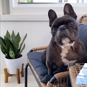 Meet your Posher, Chloe